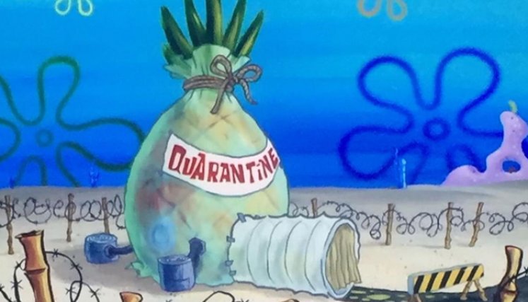 Episodios de Bob Esponja.