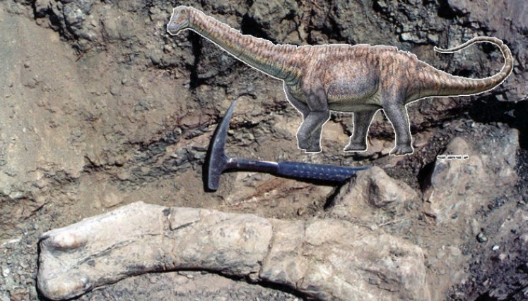 Las dimensiones de los huesos encontrados hacen pensar a los científicos que el ejemplar encontrado de esta nueva especie se trata de un "subadulto". / Foto: AFP