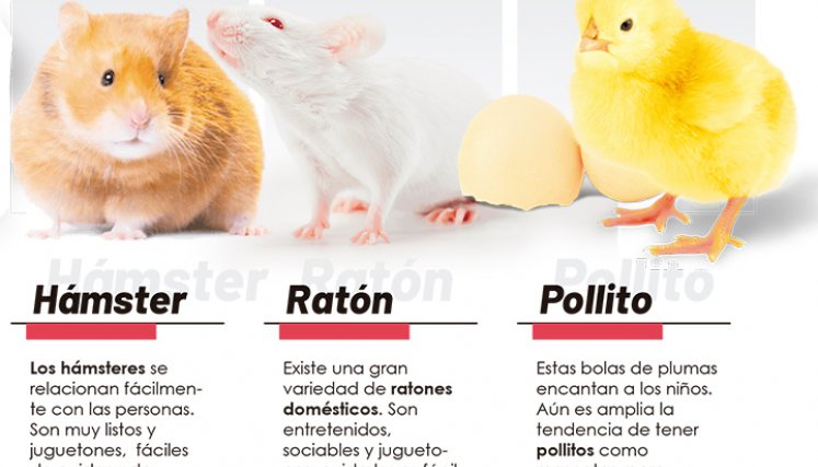 Mascotas son buenas para los niños.