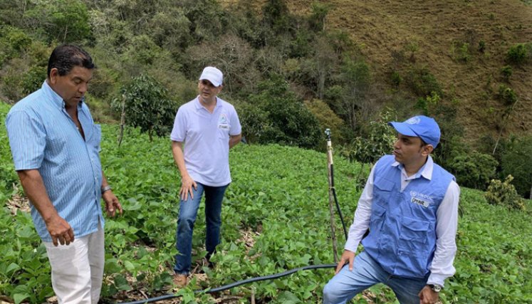 La federación beneficia a 2.300 productores. / Cortesía 