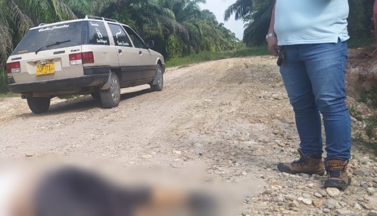 La víctima no ha sido identificada.