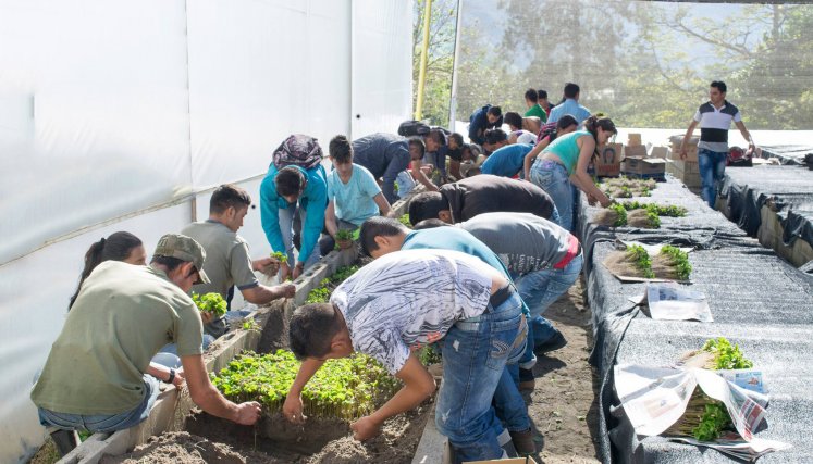 Línea de créditos para jóvenes emprendedores del agro