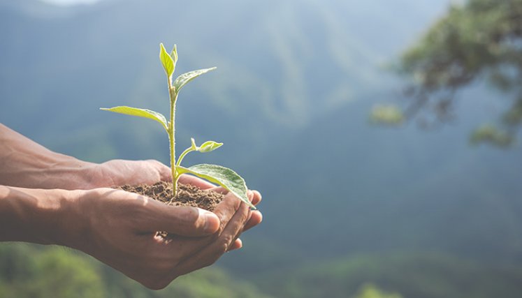 Conceptos sobre el medio ambiente.