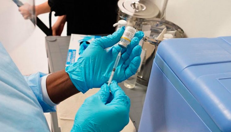 Esta alternativa vacunal no requeriría de inyección y sería aplicada de forma oral. / Cortesía/ La Opinión