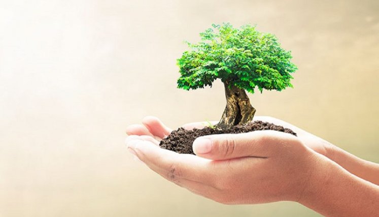 A 2025 Kellogg’s se comprometer con Latinoamérica y producirá empaques 100% sustentables