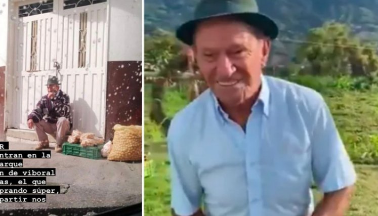 El protagonista de esta historia es un adulto mayor que salió a vender su papa criolla en Carmen de Viboral, Antioquia, y, que gracias a las redes sociales, pudo vender todo su producto. / Foto: Colprensa