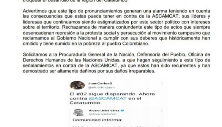 Ascamcat