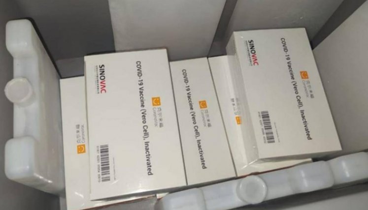 Las 41 dosis del laboratorio Sinovac hurtadas pertenecían al lote 202103045. También se llevaron igual número de carnets de vacunación. / Foto: El Universal
