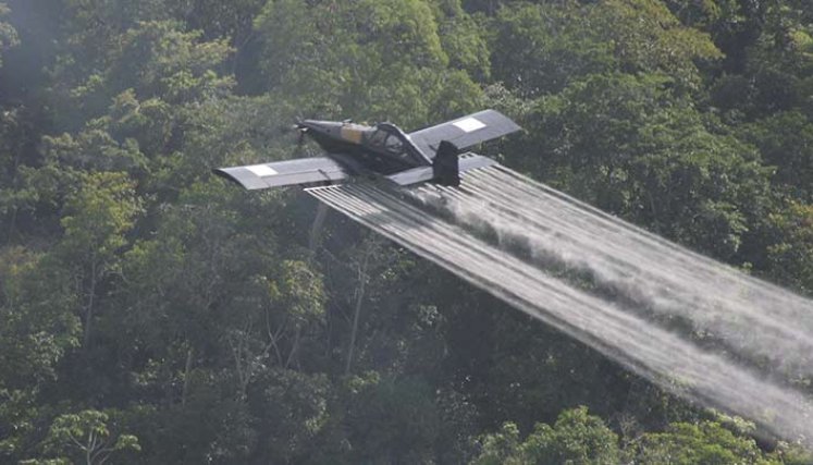las fumigaciones con glifosato no son aceptadas por los campesinos del Catatumbo./Foto archivo