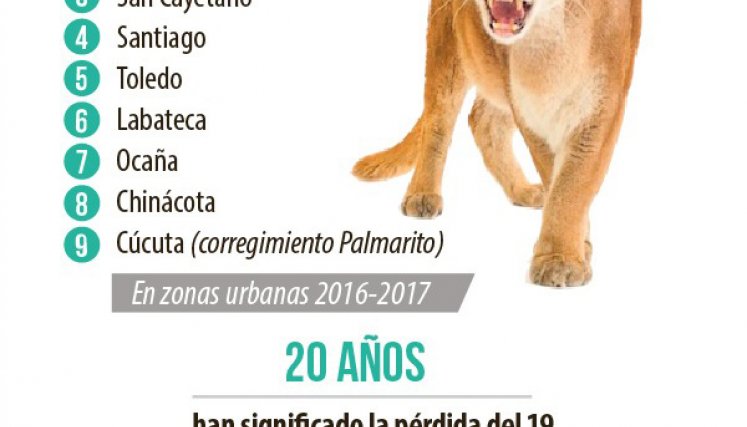 La receptividad de la comunidad ha sido clave para que el mensaje se multiplique, favoreciendo la existencia de corredores naturales donde los felinos encuentren presas naturales, donde no se rompa la cadena alimenticia y no se registren ataques a animales domésticos. / Gráfico: La Opinión