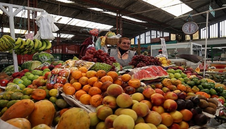 Comer una taza de verduras ricas en nitratos al día se puede reducir significativamente el riesgo de padecer enfermedades cardíacas./Foto: colprensa