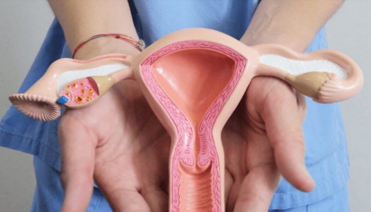 Esta dolencia que afecta a una de cada diez mujeres en el mundo, según la Organización Mundial de la Salud (OMS)./Foto: tomada de internet