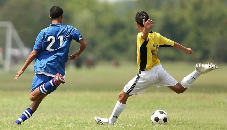 Seleccionaron a los mejores