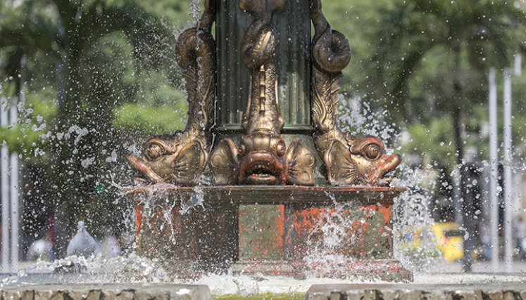 Detalle de panches en la fuente del parque Santander.