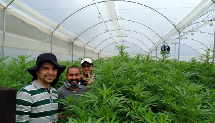 Los gestores del proyecto, Edwin Castellanos, Ángel Nova, Omar Rozo y Yonathan Quintana. / Foto: Roberto Ospino