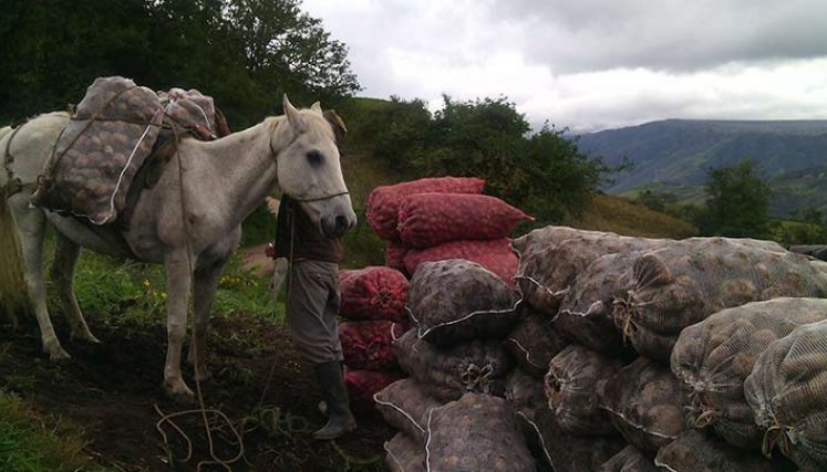 Los pequeños productores venderán a buenos precios./FotoCortesía