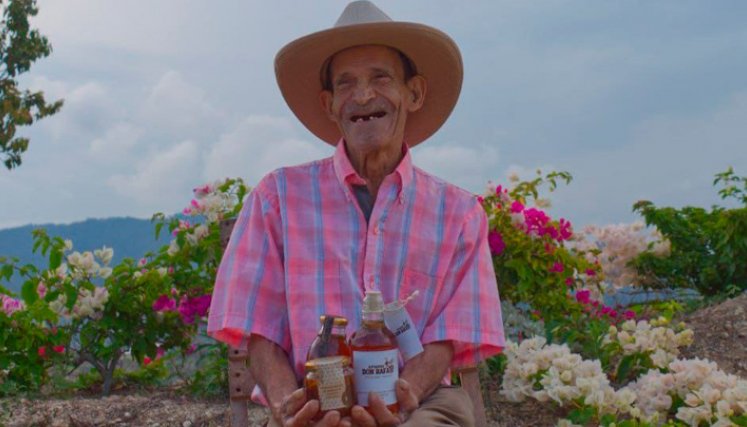 En las diferentes fincas producen miel, polen, propóleo y jalea real.