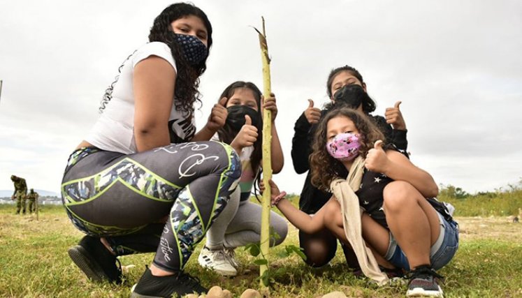 Siembra de árboles en Cúcuta.