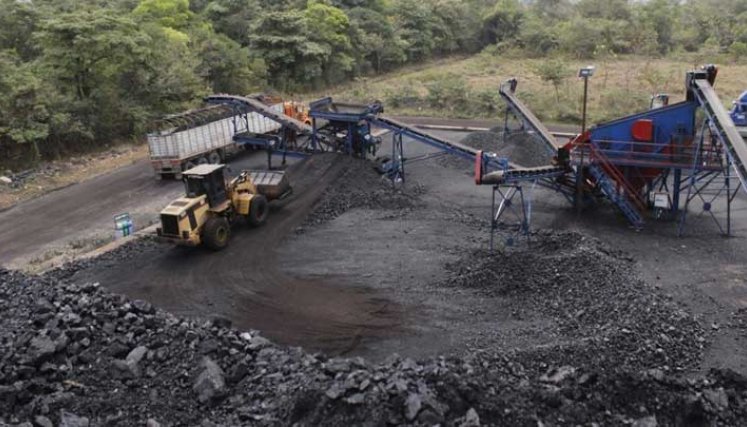 sector carbón en la región