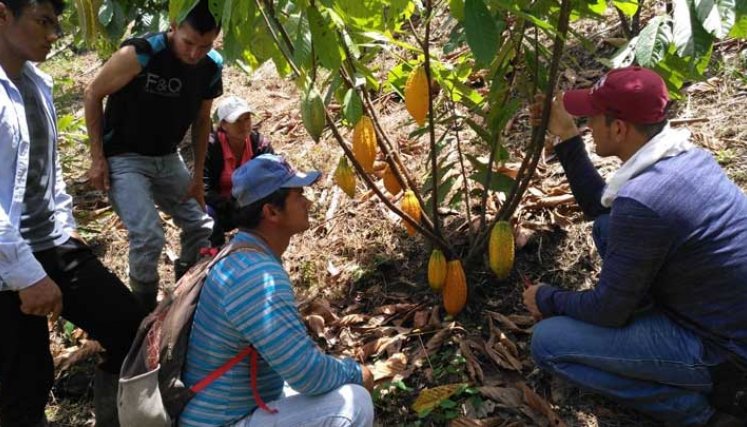 Zonas Futuro para el Catatumbo