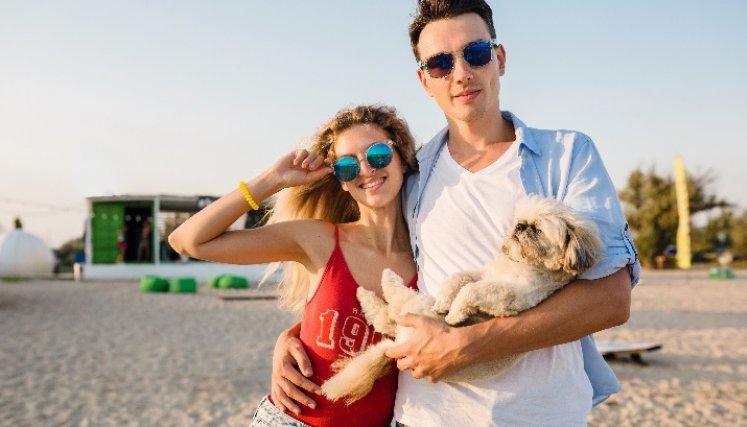 Mascotas podrán salir de vacaciones con sus dueños