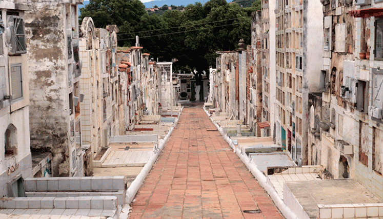 Es caótica la situación en el camposanto de Cúcuta por falta de bóvedas para dar sepultura a tanta gente. 