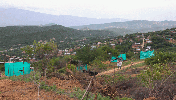 En diferentes sectores de Cúcuta se han dado proceso de invasión de tierras. / Foto archivo La Opinión