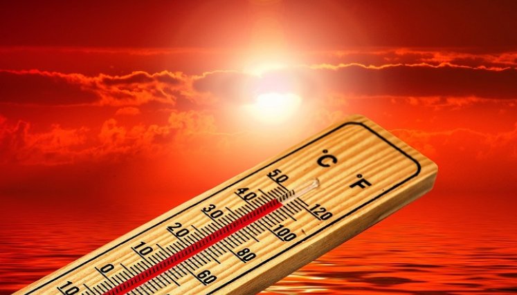 En Canadá y EE. UU. se registran temperaturas de hasta 50 grados