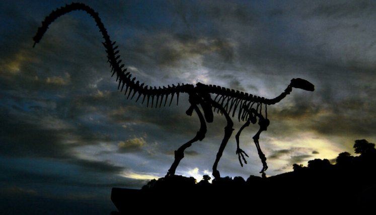 Buscan razón de extinción de dinosaurios