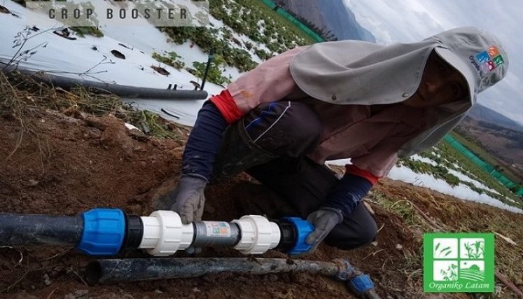Esta tecnología ya se encuentra instalada en los cultivos más importantes de Colombia, Chile, Bolivia, Brasil, Perú, Ecuador, Venezuela, Paraguay y Uruguay.  /Foto: Cortesía/ La Opinión