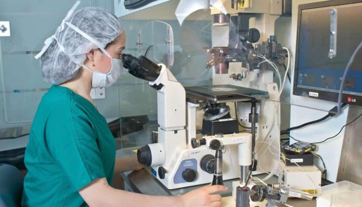 Colombia es actualmente referente en tratamientos de fertilidad y cada vez más un destino frecuente de parejas extranjeras que viajan para hacer sus tratamientos en el país. / Foto: Cortesía