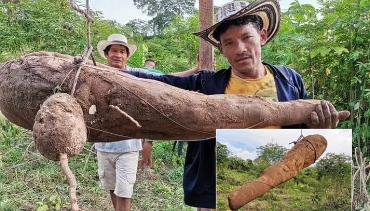 Arcelio Álvarez, un campesino de la zona rural de Montería.