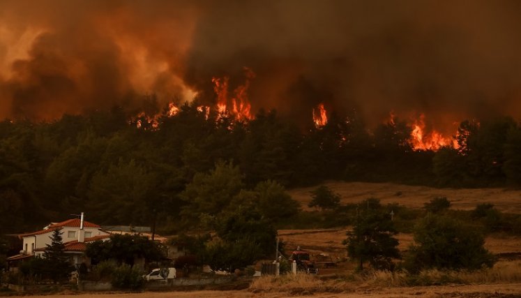 Grecia afronta una situación ‘crítica’ por los incendios, todavía activos en Turquía./Foto: AFP