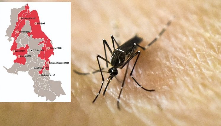 El dengue en Norte de Santander