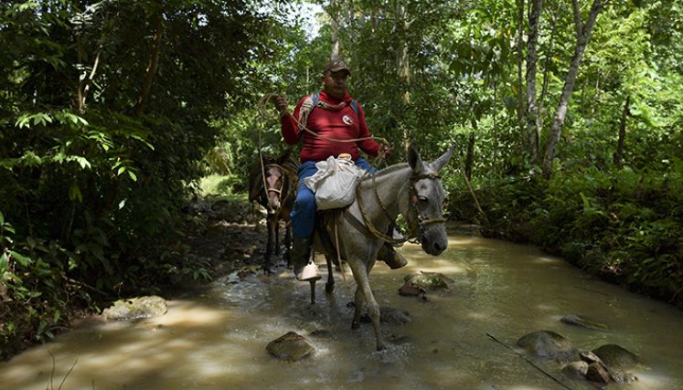 Efraín, una vida mutilada dos veces por minas en Colombia