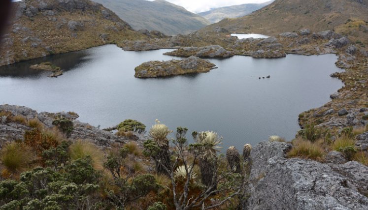 El páramo de Santurbán es la mayor reserva de agua de Norte de Santander y Santander. Foto Roberto Ospino/La Opinión