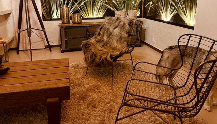 Diseño de interiores. 