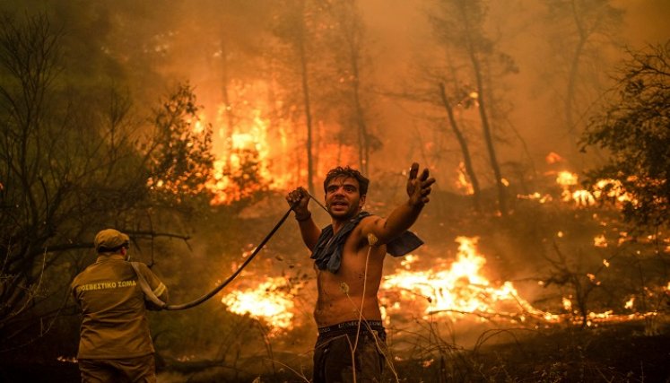 Los incendios forestales se registran a diario.