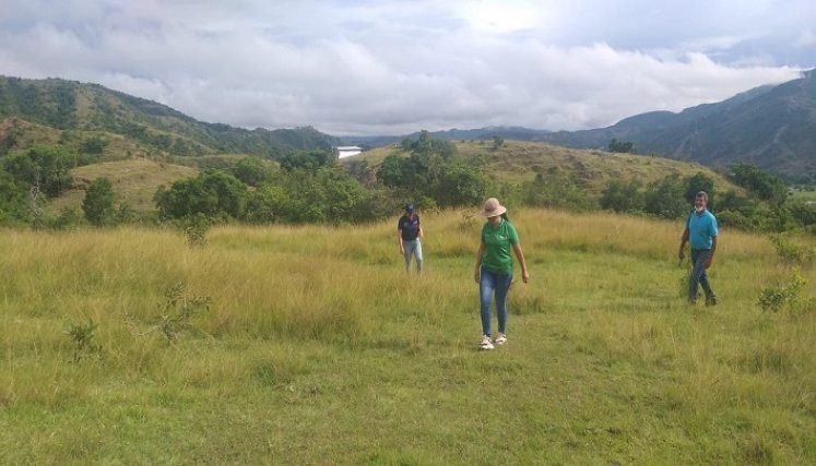 Los ingenieros adelantan los estudios pertinentes para iniciar la siembra. / Cortesía/ La Opinión 