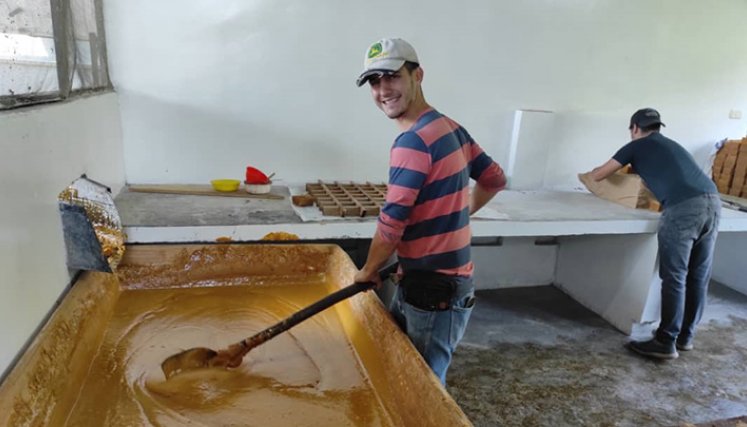 Los productores del Táchira tienen en la mira la exportación
