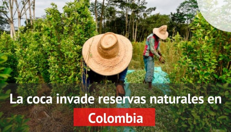 Reservas Naturales en Colombia