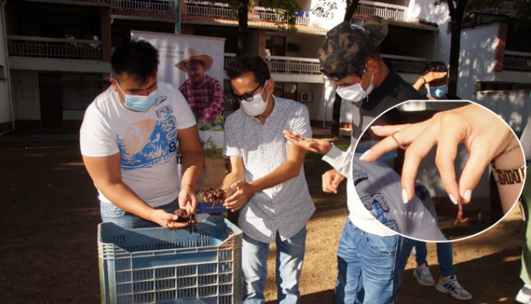Los jóvenes aprendieron a crear lombricompostaje. / Foto: Cortesía