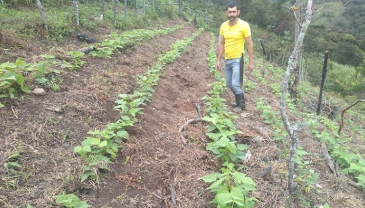 A los productores beneficiados les entregan una donación de capital semilla en insumos agropecuarios para que puedan ejecutar sus emprendimientos productivos. / Foto: Cortesía