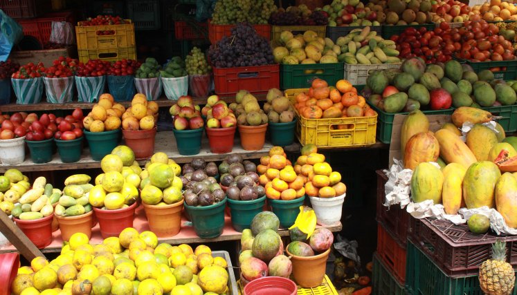 Alimentos para niños