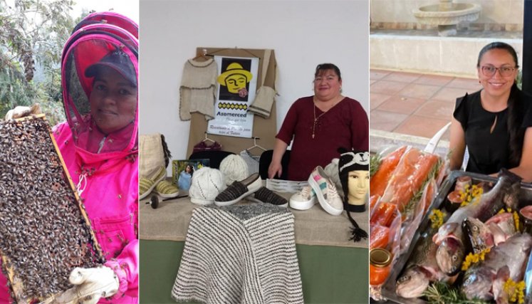 La familia Toloza se ha encargado de expandir los apiarios para que se multiplique la flora. Adriana Anteliz es la representante legal de la Asociación de Familias Artesanas, Asomerced. /Fotos: Cortesía.