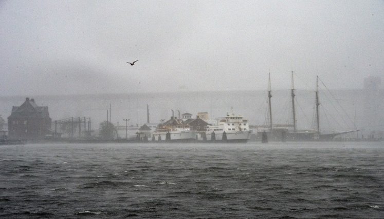 La tormenta tropical Henri se estrelló contra Rhode Island en la costa este de EE. UU./AFP