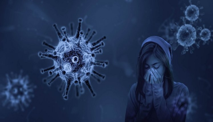 El virus es causado por el murciélago