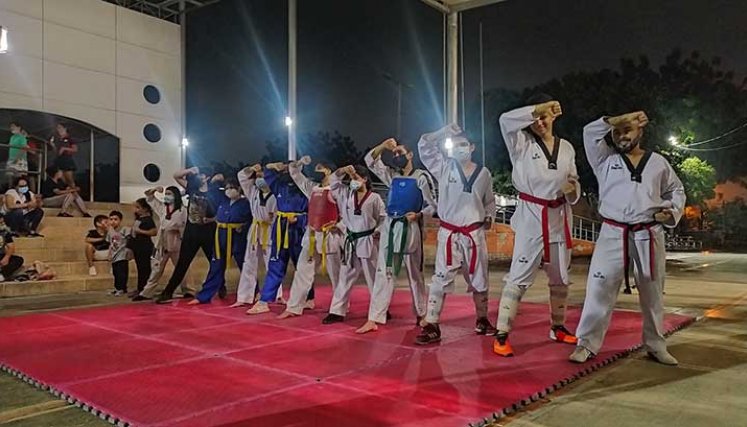 Las técnicas del taekwondo tienen alguna similitud  con otras artes marciales