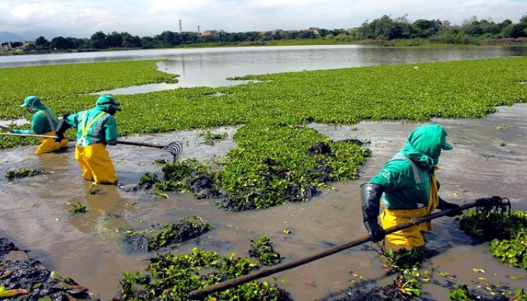 El premio reconoce esfuerzo ambiental de las empresas.