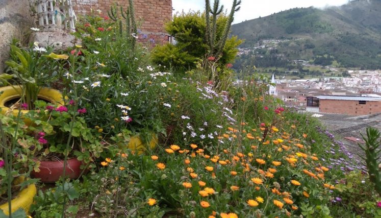 La comunidad quiere convertir Las Margaritas en el jardín de Pamplona. / Cortesía/ La Opinión. 